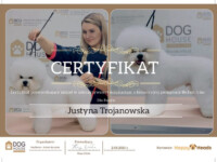 Certyfikat z pielęgnacji rasy Bichon frise