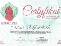 Certyfikat Master dog