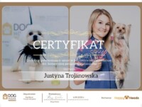 Certyfikat z pielęgnacji rasy Maltańczyk