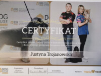 Certyfikat z pielęgnacji rasy Sznaucer miniaturowy