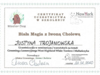 Certyfikat groomerski West Highland White Terrier