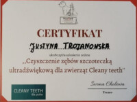 Czyszcenie zębów szczoteczką ultradźwiękową