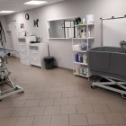 Salon groomerski Piła