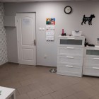 Salon strzyżenia psów Piła