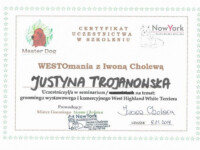 Certyfikat Westomania